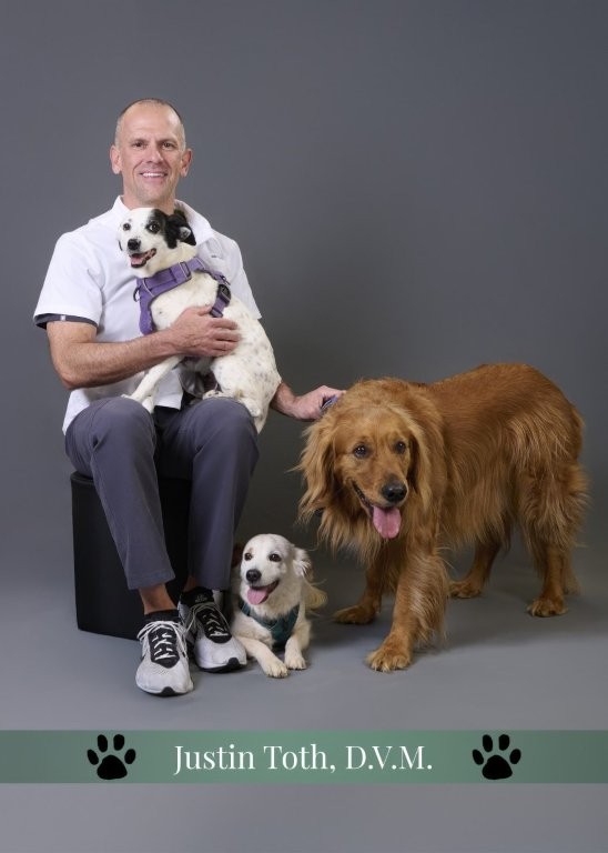 Justin Toth,  DVM Veterinarian | Practice Owner