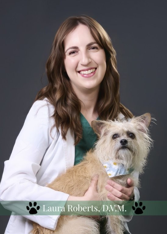 Laura Roberts, DVM | Associate Veterinarian - Medical Director