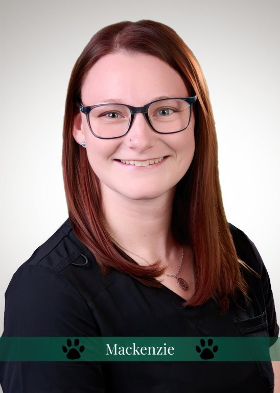 Mackenzie , Veterinary Assistant
