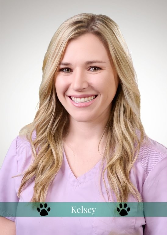 Kelsey , Veterinary Assistant