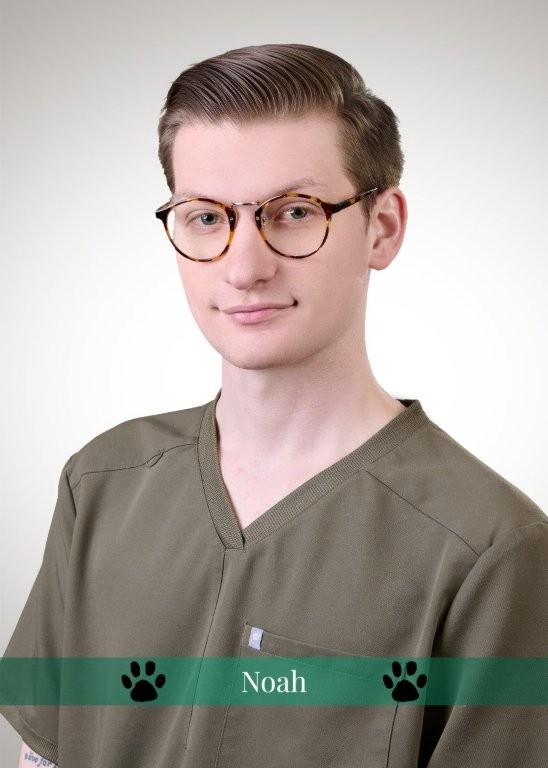 Noah , Veterinary Assistant