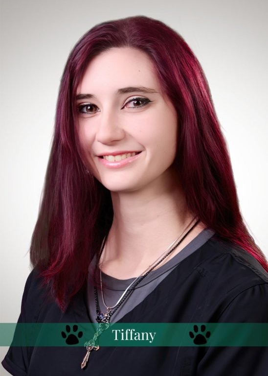 Tiffany , Patient Care
