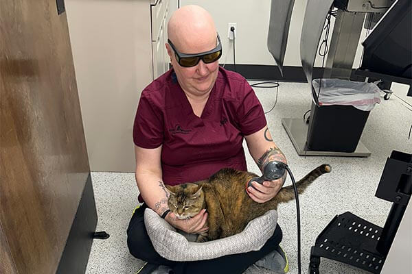Laser Therapy Laser Therapy