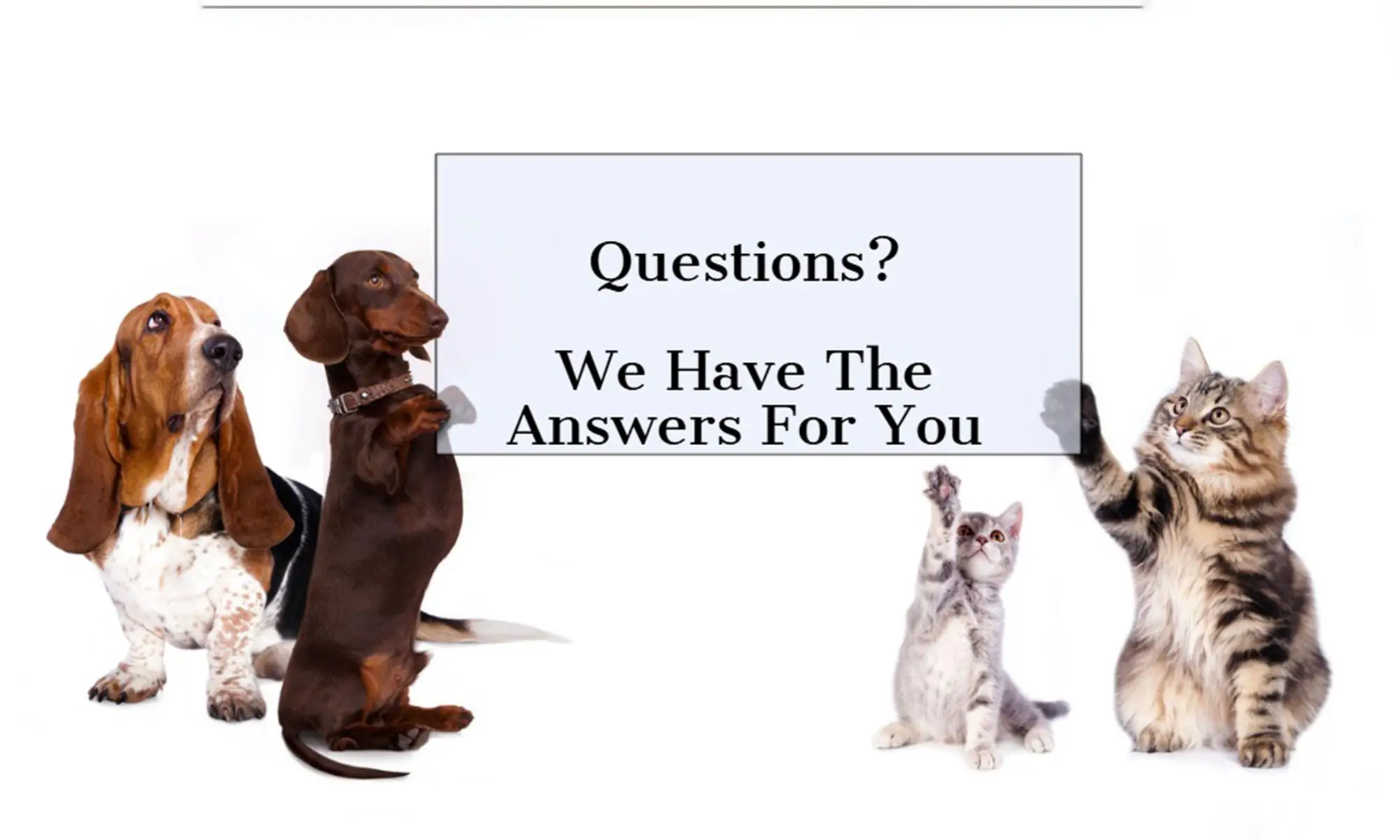 Some frequently asked questions!